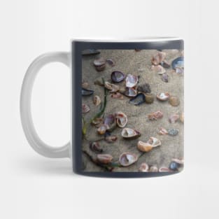 Beach Shells Mug